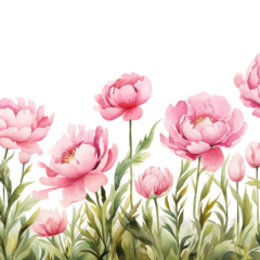 13-Pink-Peony