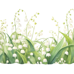 16-Lily-of-the-Valley