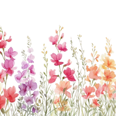 18-Freesia