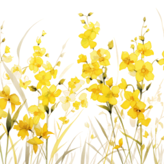 5-Oncidium-Orchid