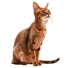 1_0009-Abyssinian-Cat