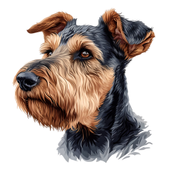 1_0038-Airedale-Terrier