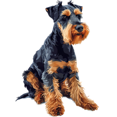 1_0039-Airedale-Terrier