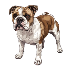 1_0069-American-Bulldog