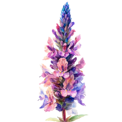 1_0025-Agastache